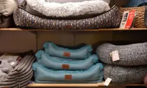 Hundebetten im Laden – komfortabler Tierbedarf für Hunde